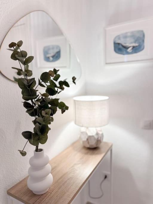 Www Casa Quili Cadiz Com Lejlighed Eksteriør billede